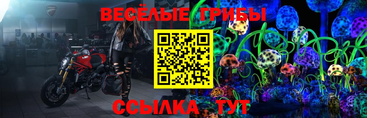 Псилоцибиновые грибы прущие грибы Ухта